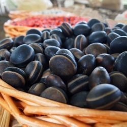 Native: Semillas y conchas
